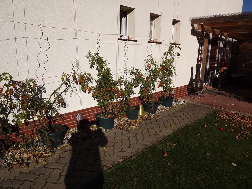 Pension Regenbogen Stralsund Exterior photo